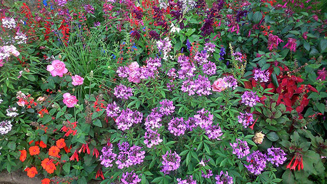 Entretien jardin Vosges