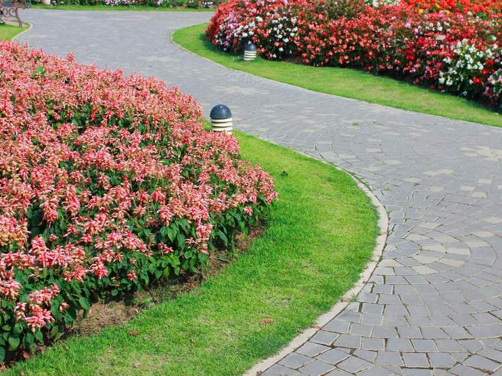 Services entretien jardin Vosges