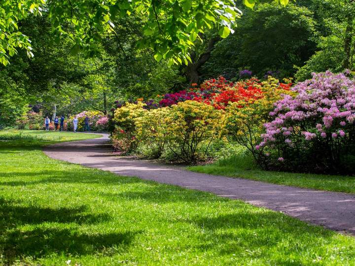 Entretien jardin Vosges