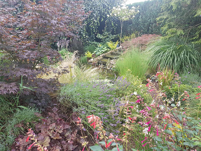 Entretien jardin Épinal
